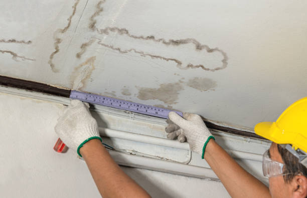 Reliable Structural Drying contractor in Burlington, TX by Water Damage Irwin